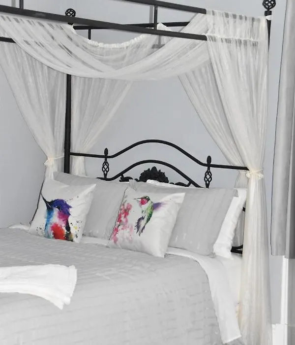 Seabank House Bed And Breakfast Hummingbird-1